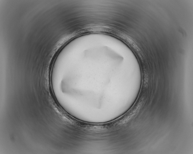 X0000111180986200907221045