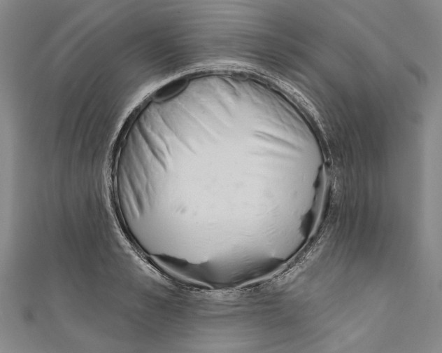 X0000111180989200907221045