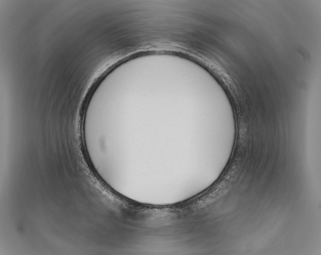 X0000111180990200907221045