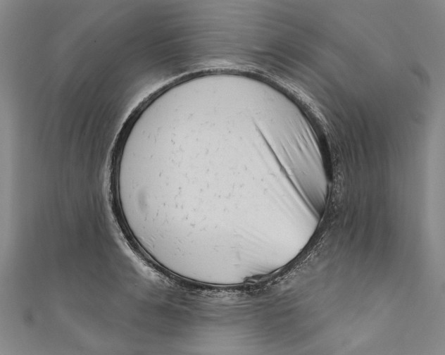 X0000111180991200907221045