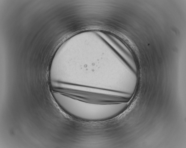 X0000111180993200907221045