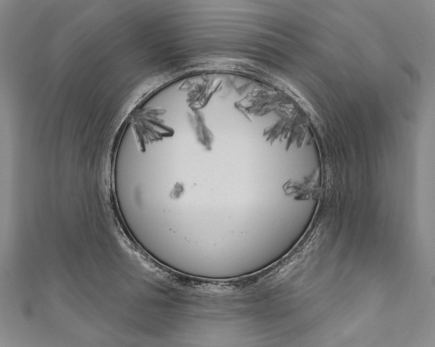 X0000111180994200907221044