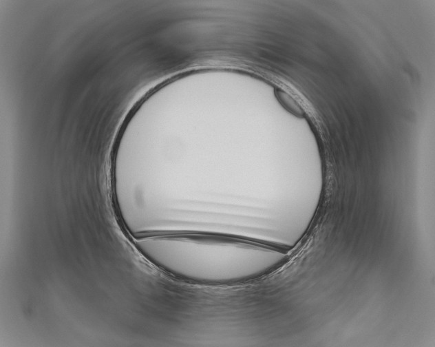 X0000111180996200907221044