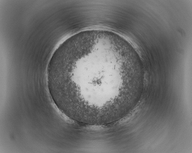 X0000111180998200907221044