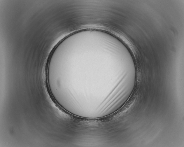 X0000111180999200907221044