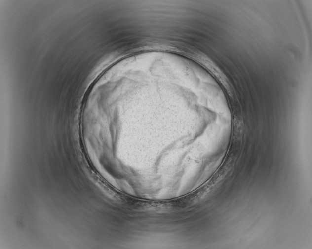 X0000111181002200907221044