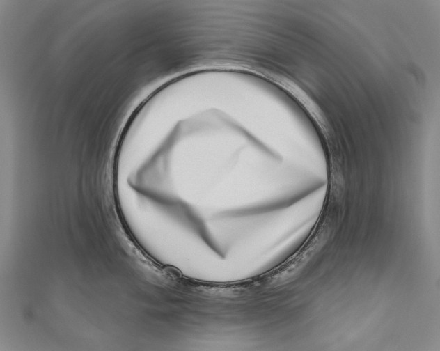 X0000111181004200907221044