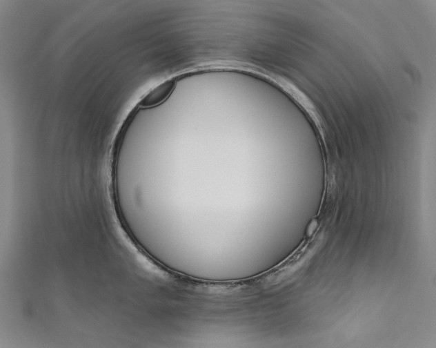 X0000111181005200907221044