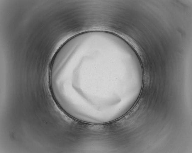 X0000111181006200907221044