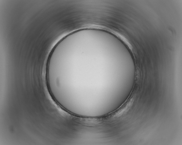 X0000111181007200907221044