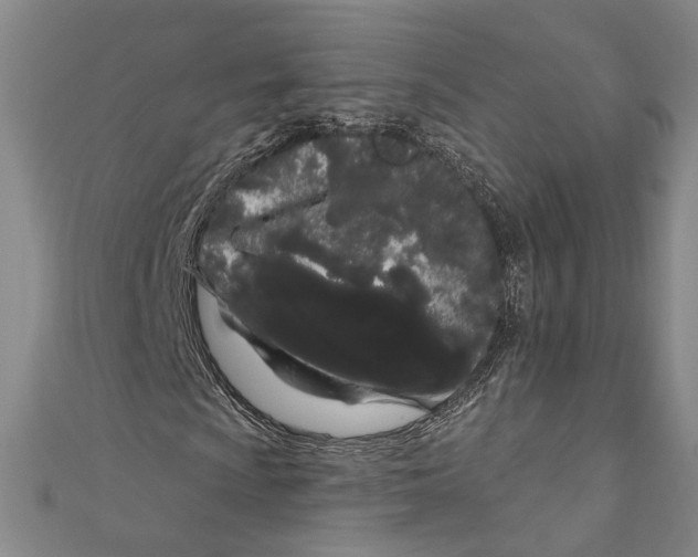 X0000111181009200907221044