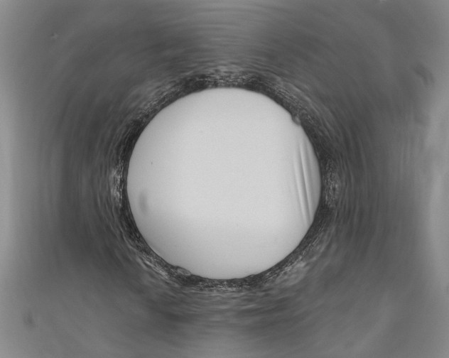 X0000111181010200907221044