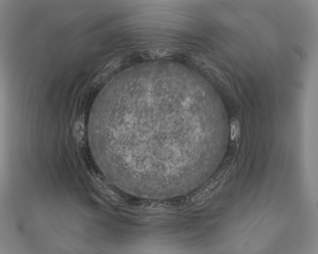 X0000111181011200907221044