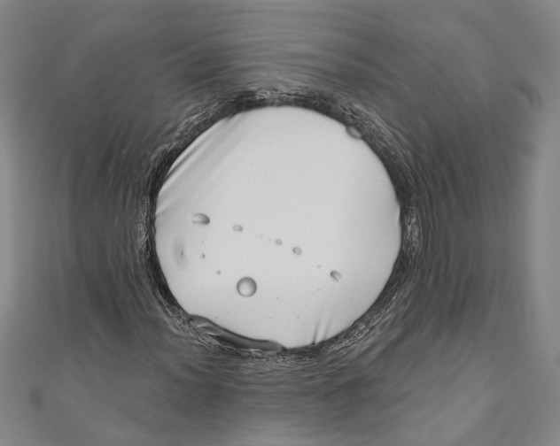 X0000111181012200907221044