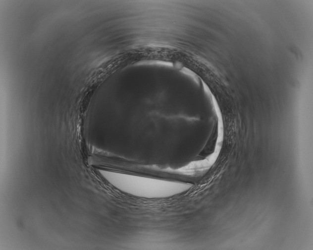 X0000111181013200907221044