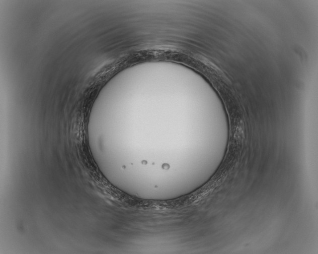 X0000111181014200907221044