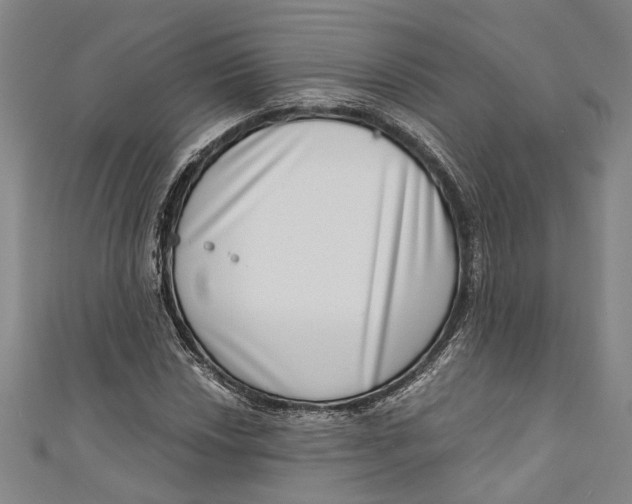 X0000111181018200907221044