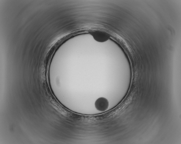 X0000111181019200907221044