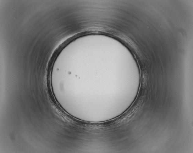 X0000111181020200907221044