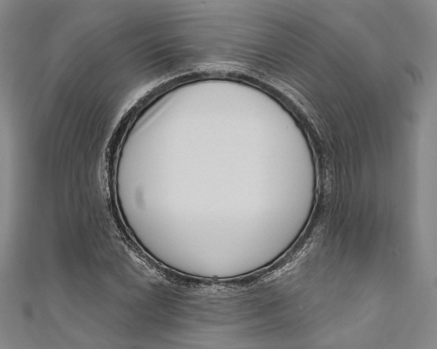 X0000111181022200907221044