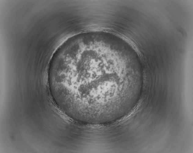 X0000111181023200907221044