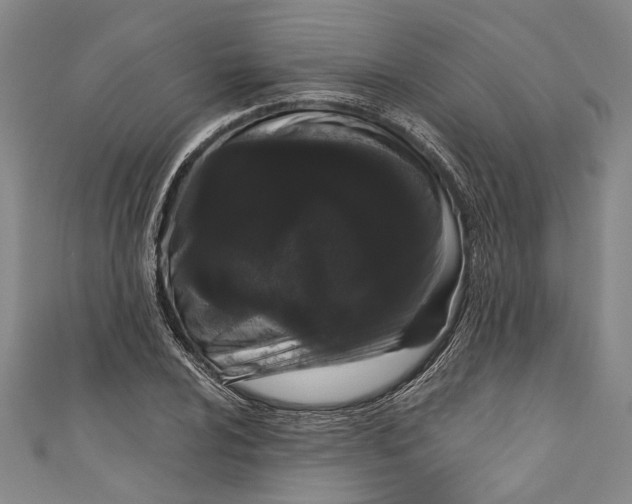 X0000111181024200907221044