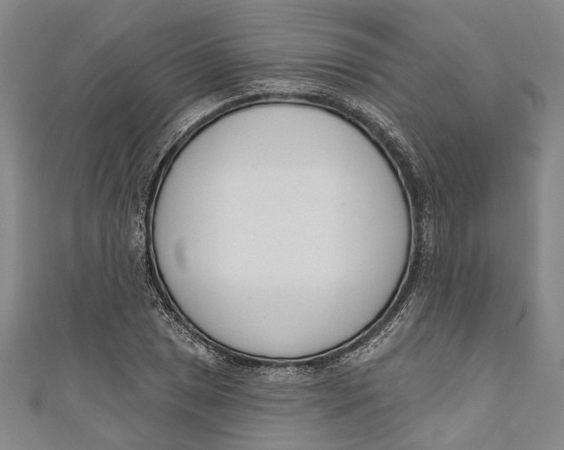 X0000111181025200907221044