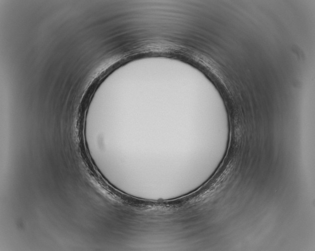 X0000111181026200907221044