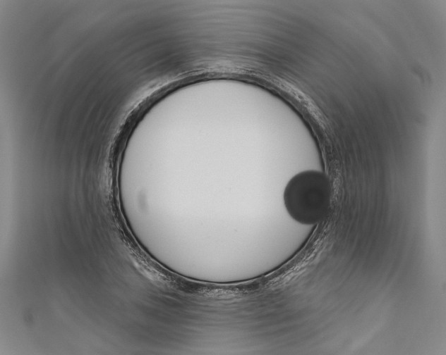 X0000111181027200907221044