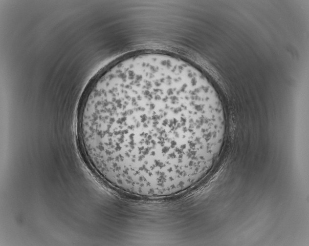 X0000111181028200907221044