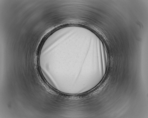 X0000111181029200907221044