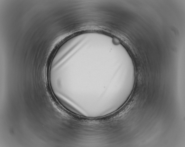 X0000111181030200907221044