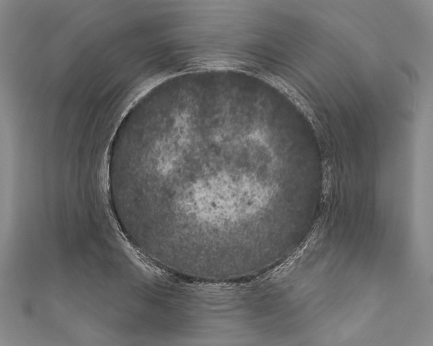 X0000111181031200907221044