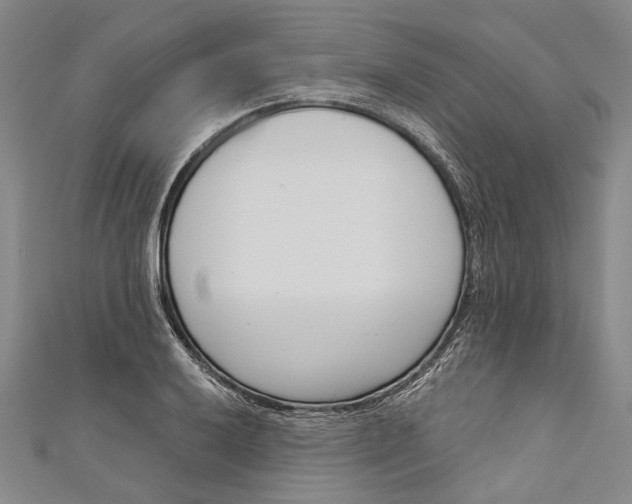 X0000111181032200907221044