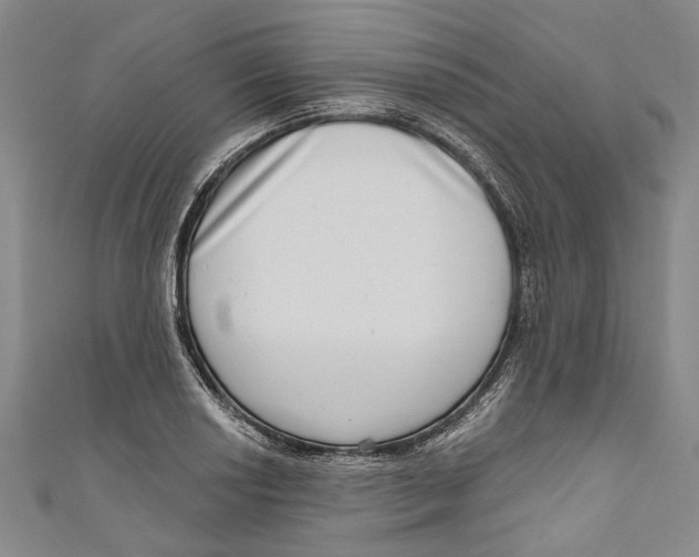 X0000111181034200907221044