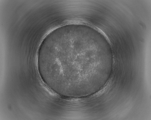 X0000111181035200907221044