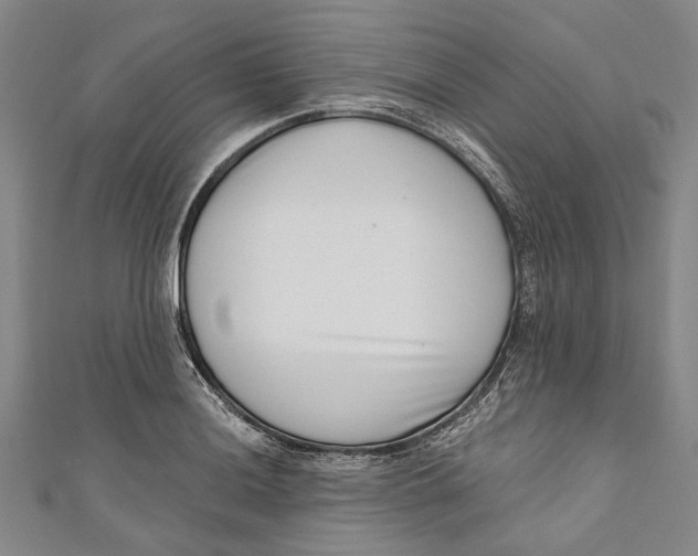 X0000111181036200907221044