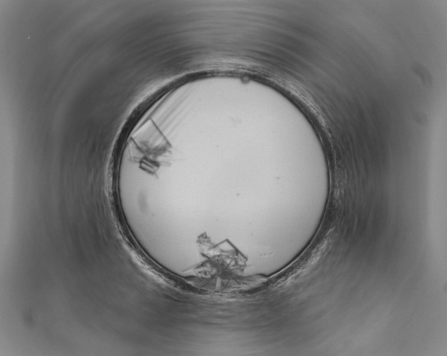 X0000111181037200907221044