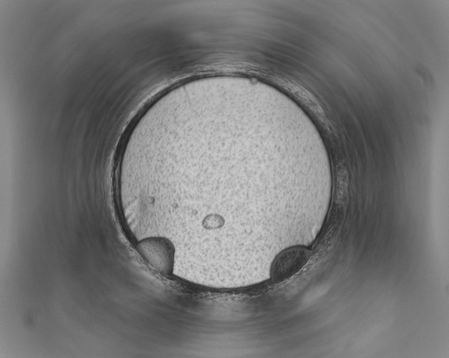 X0000111181039200907221044