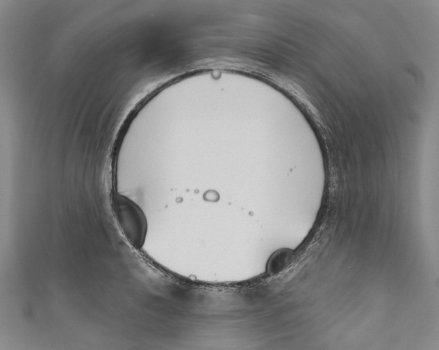 X0000111181040200907221044