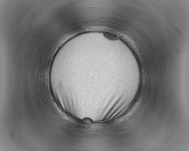 X0000111181041200907221044