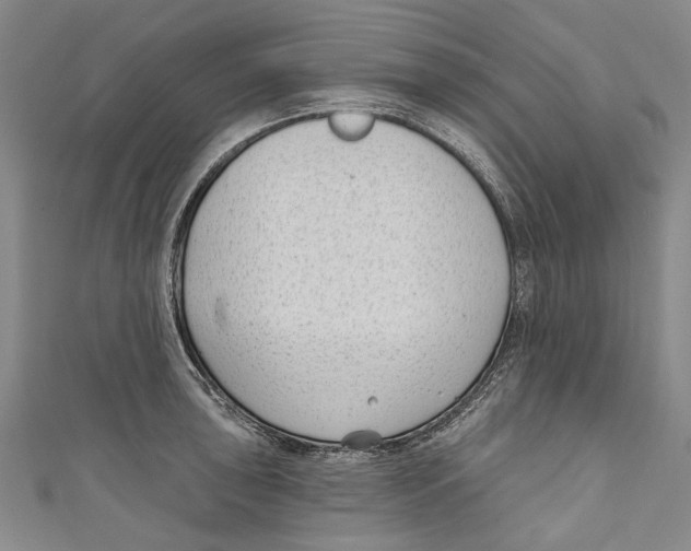 X0000111181043200907221044