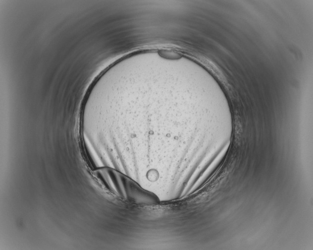 X0000111181044200907221044