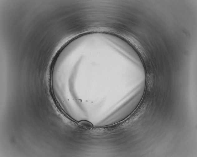 X0000111181046200907221044