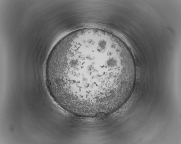 X0000111181048200907221044