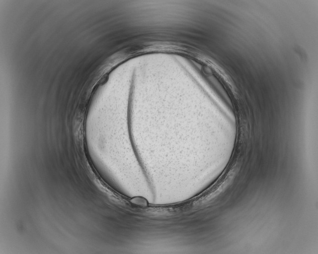 X0000111181049200907221044