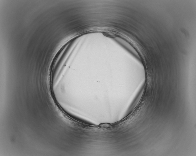 X0000111181050200907221044