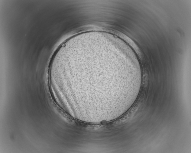 X0000111181051200907221044