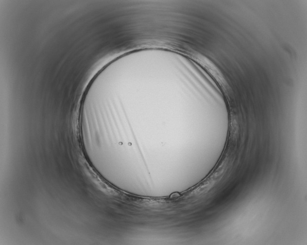 X0000111181052200907221044