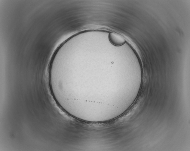 X0000111181053200907221044